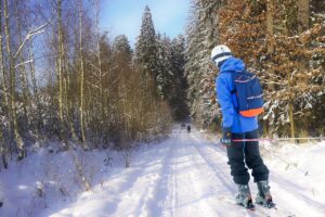 skiing, winter, forest-7798638.jpg